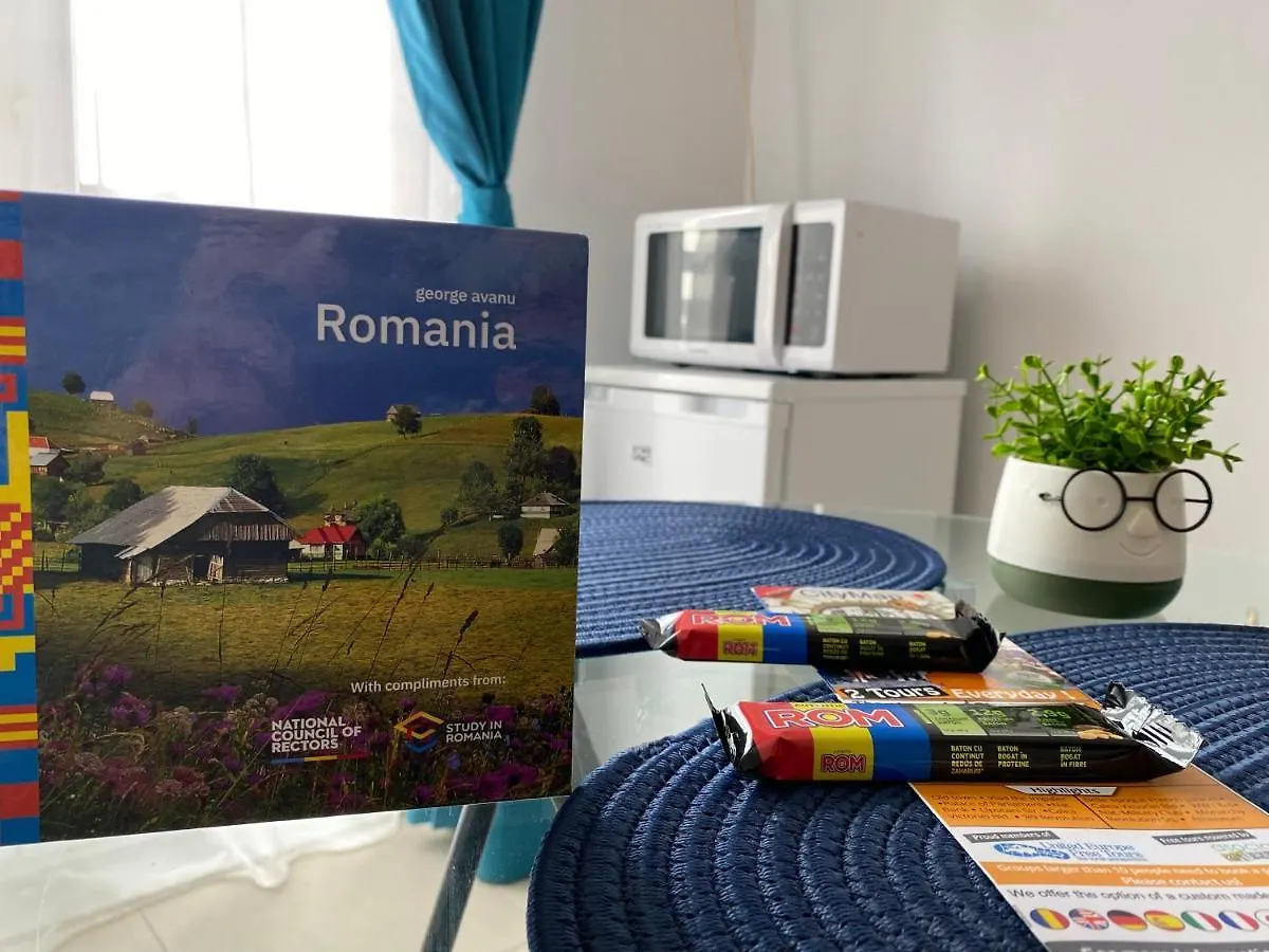Old Town Studio - Victoriei 1 Bucharest Apartment