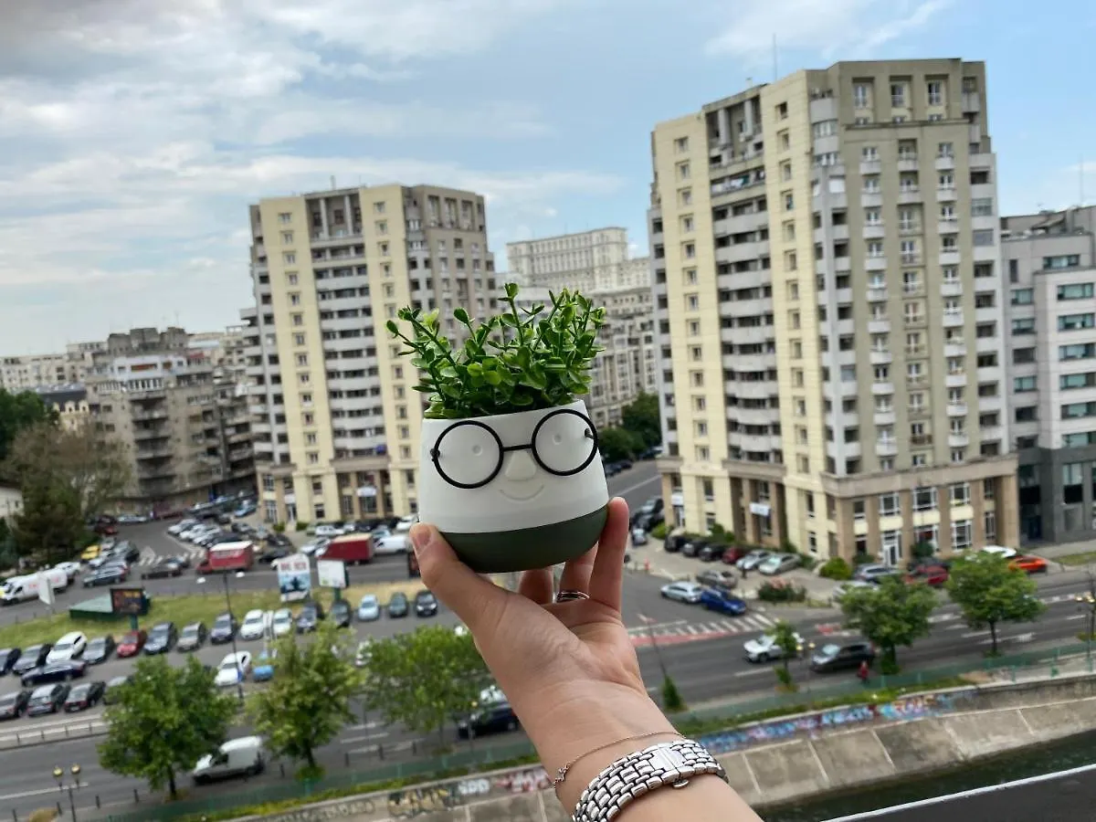 Appartement Old Town Studio - Victoriei 1 Bucarest Roumanie